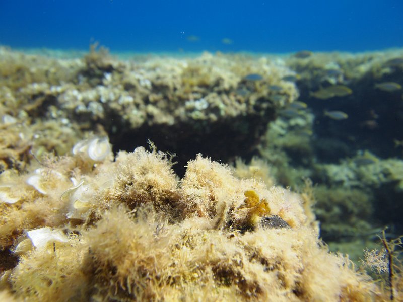 2013-09-09 16-01-10 Johan.JPG